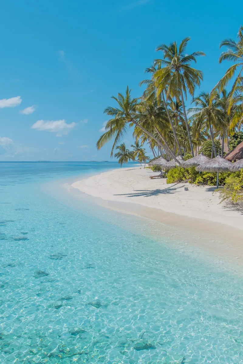 Pristine white sand beach with crystal clear turquoise water and tropical trees